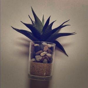 Meet your Posher, Elise